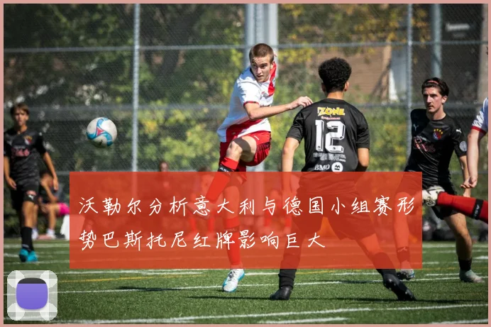 沃勒尔分析意大利与德国小组赛形势巴斯托尼红牌影响巨大