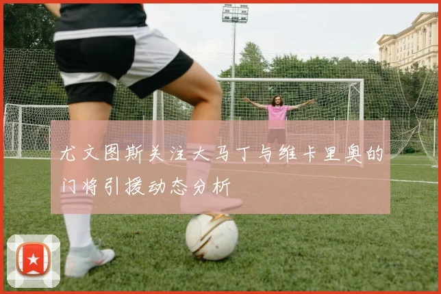尤文图斯关注大马丁与维卡里奥的门将引援动态分析